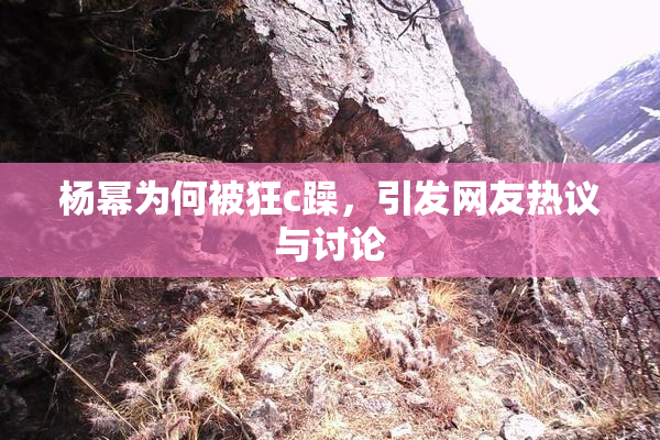 杨幂为何被狂c躁，引发网友热议与讨论