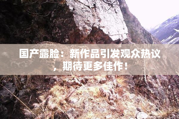 国产露脸：新作品引发观众热议，期待更多佳作！