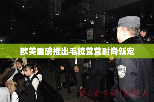 欧美重磅推出毛绒茸茸时尚新宠