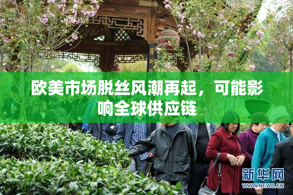 欧美市场脱丝风潮再起，可能影响全球供应链