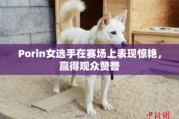 Porin女选手在赛场上表现惊艳，赢得观众赞誉