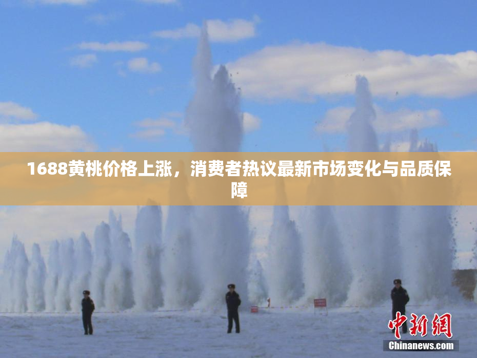 1688黄桃价格上涨，消费者热议最新市场变化与品质保障