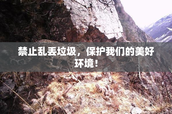 禁止乱丢垃圾，保护我们的美好环境！