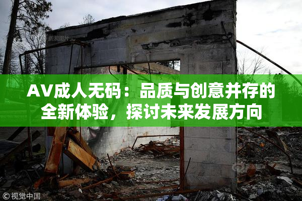 AV成人无码：品质与创意并存的全新体验，探讨未来发展方向