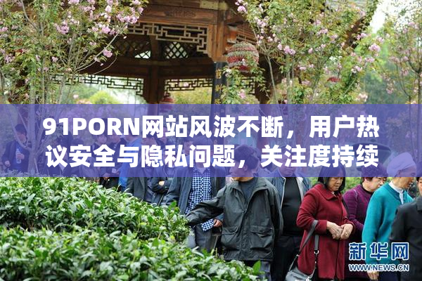 91PORN网站风波不断，用户热议安全与隐私问题，关注度持续上升。