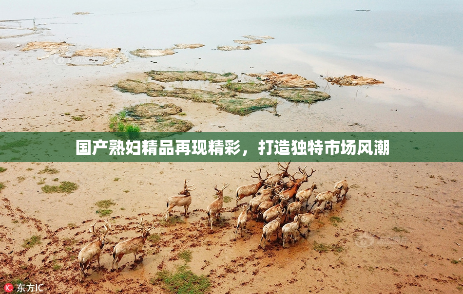 国产熟妇精品再现精彩，打造独特市场风潮