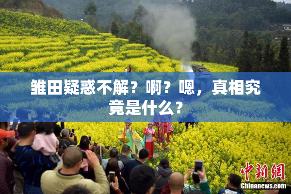 雏田疑惑不解？啊？嗯，真相究竟是什么？