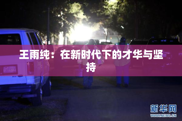 王雨纯：在新时代下的才华与坚持