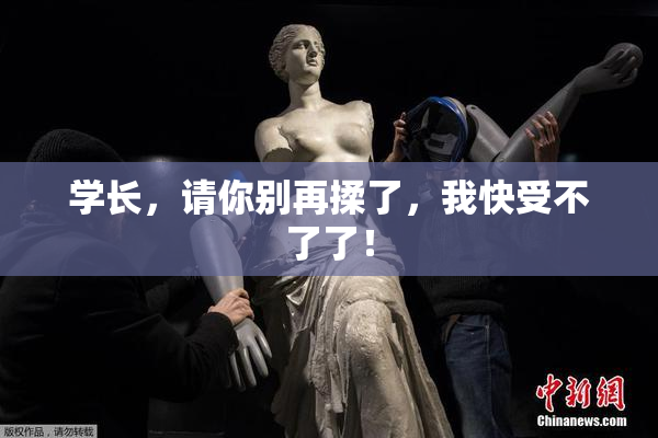 学长，请你别再揉了，我快受不了了！