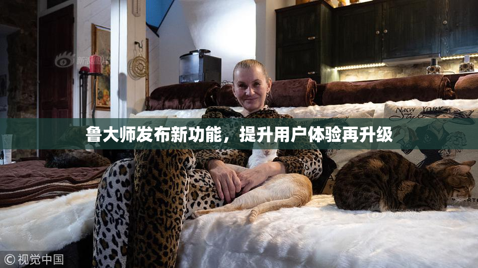 鲁大师发布新功能，提升用户体验再升级