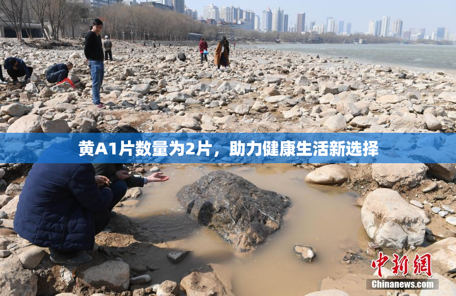 黄A1片数量为2片，助力健康生活新选择