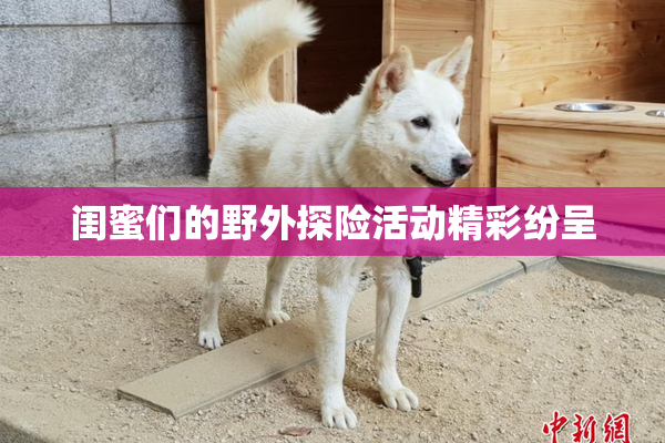 闺蜜们的野外探险活动精彩纷呈