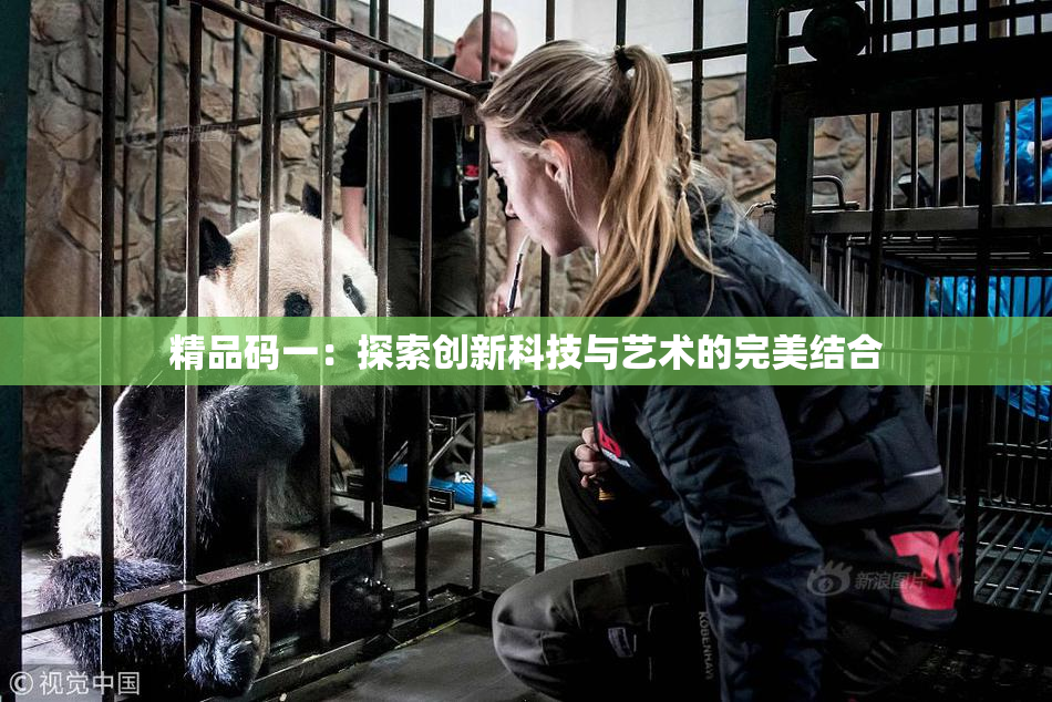 精品码一：探索创新科技与艺术的完美结合