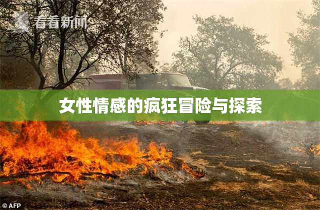 女性情感的疯狂冒险与探索