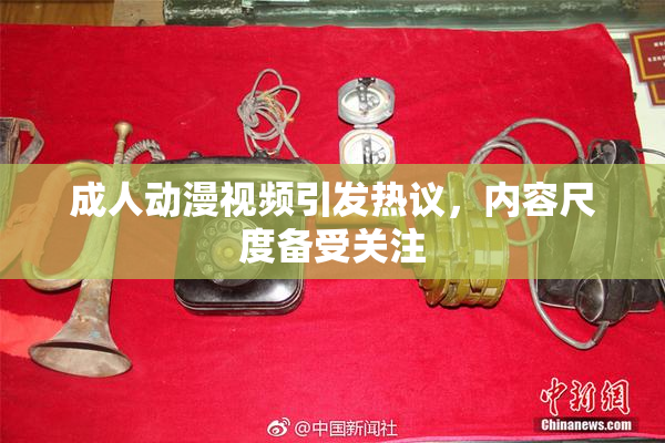 成人动漫视频引发热议，内容尺度备受关注