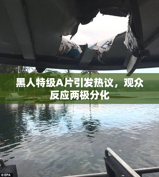黑人特级A片引发热议，观众反应两极分化