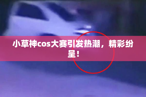小草神cos大赛引发热潮，精彩纷呈！