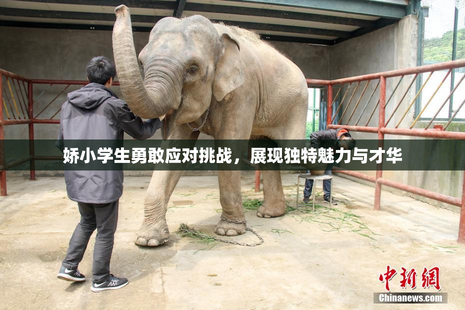 娇小学生勇敢应对挑战，展现独特魅力与才华