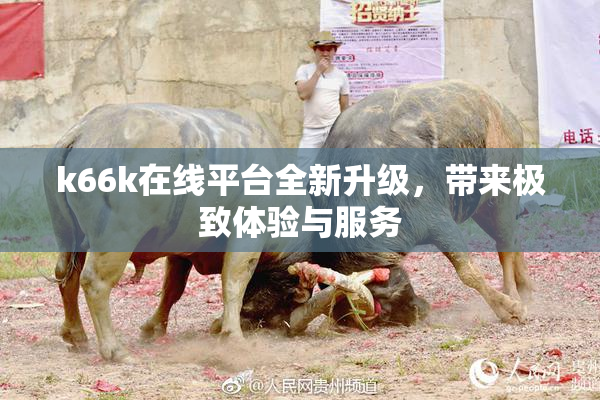 k66k在线平台全新升级，带来极致体验与服务