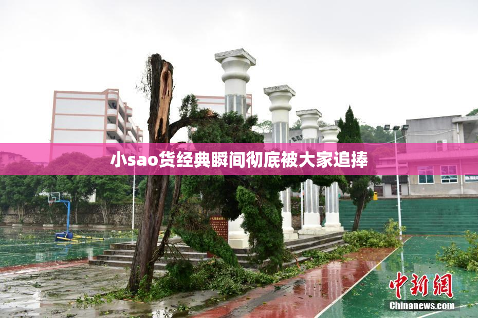 小sao货经典瞬间彻底被大家追捧