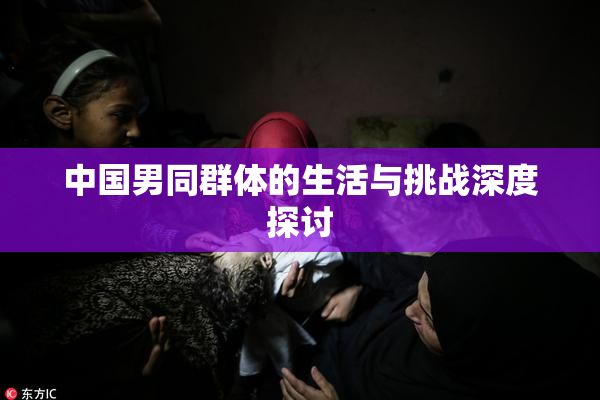 中国男同群体的生活与挑战深度探讨