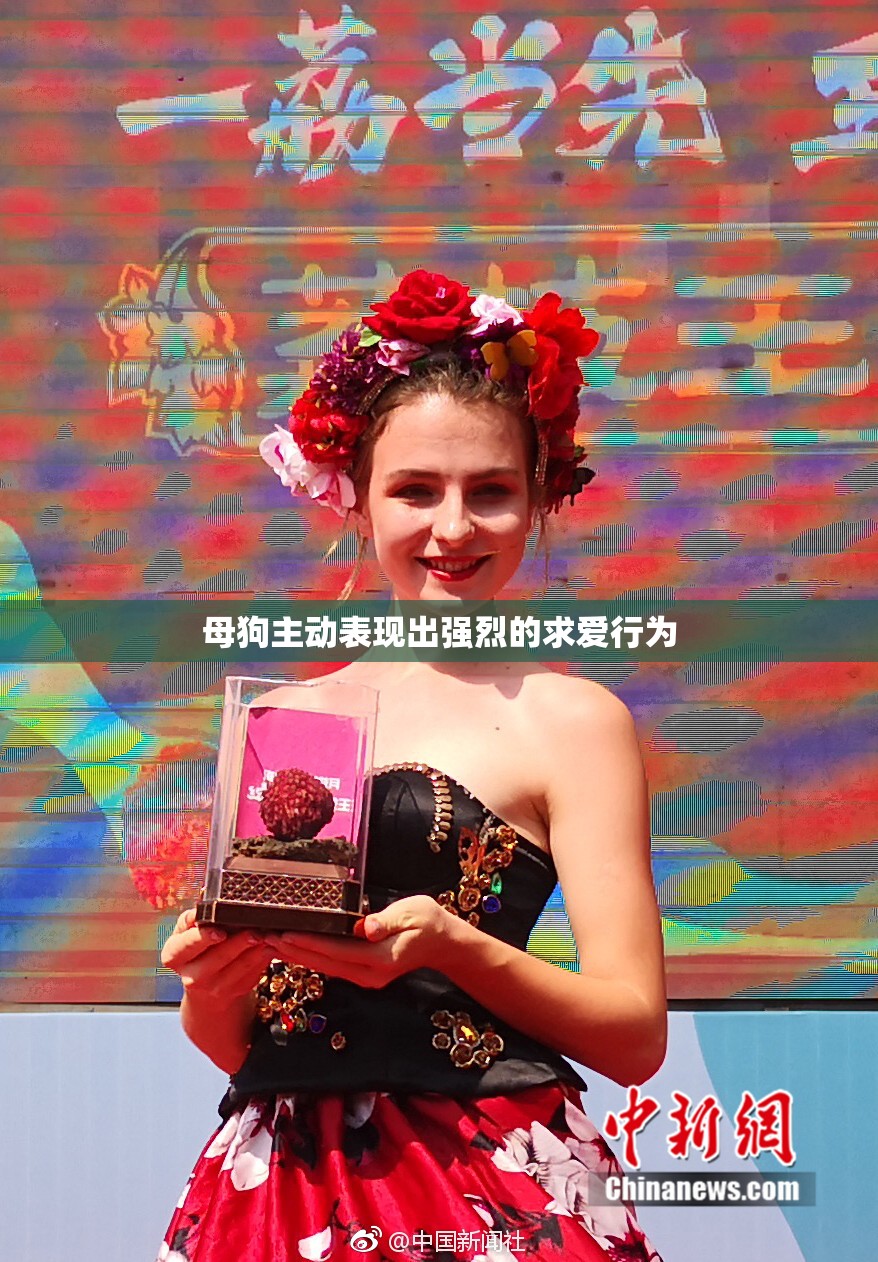 母狗主动表现出强烈的求爱行为