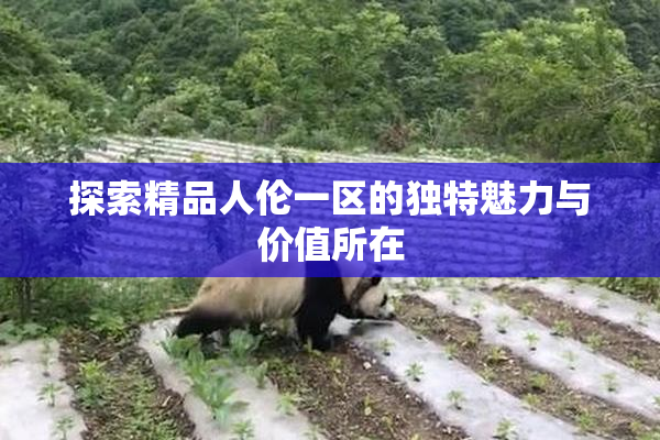 探索精品人伦一区的独特魅力与价值所在