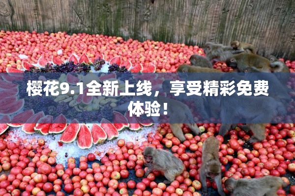 樱花9.1全新上线，享受精彩免费体验！