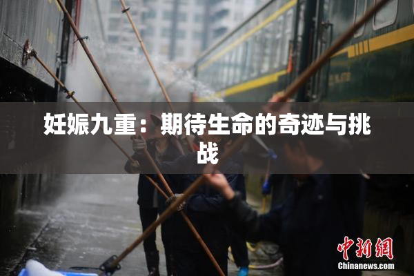 妊娠九重：期待生命的奇迹与挑战