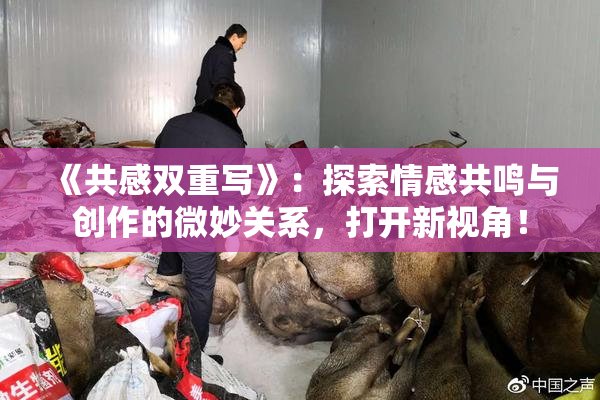 《共感双重写》：探索情感共鸣与创作的微妙关系，打开新视角！