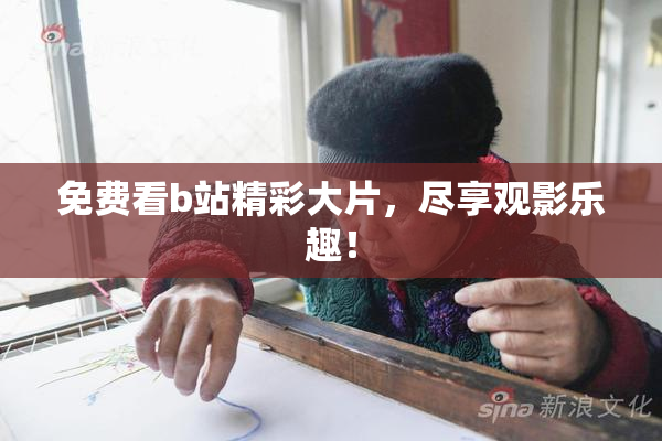 免费看b站精彩大片，尽享观影乐趣！