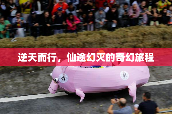 逆天而行，仙途幻灭的奇幻旅程