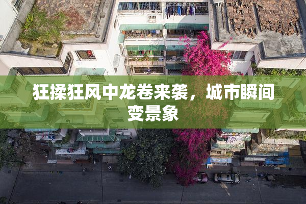 狂揉狂风中龙卷来袭，城市瞬间变景象