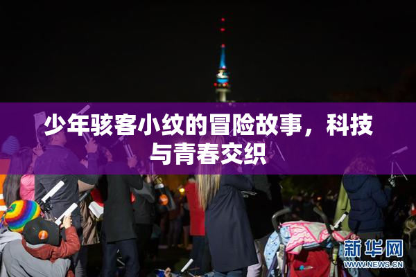 少年骇客小纹的冒险故事，科技与青春交织
