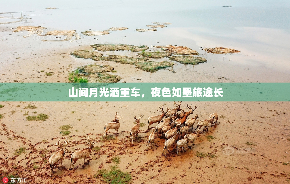 山间月光洒重车，夜色如墨旅途长