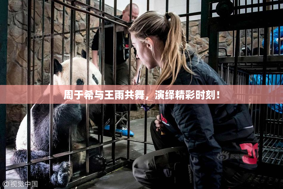 周于希与王雨共舞，演绎精彩时刻！