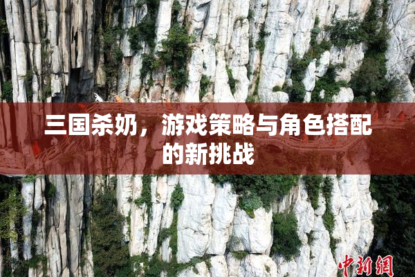 三国杀奶，游戏策略与角色搭配的新挑战