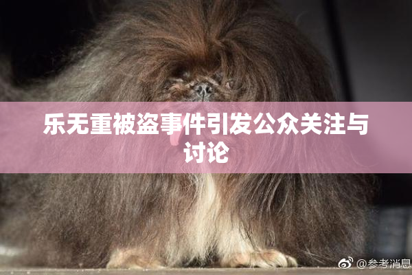 乐无重被盗事件引发公众关注与讨论