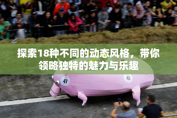 探索18种不同的动态风格，带你领略独特的魅力与乐趣