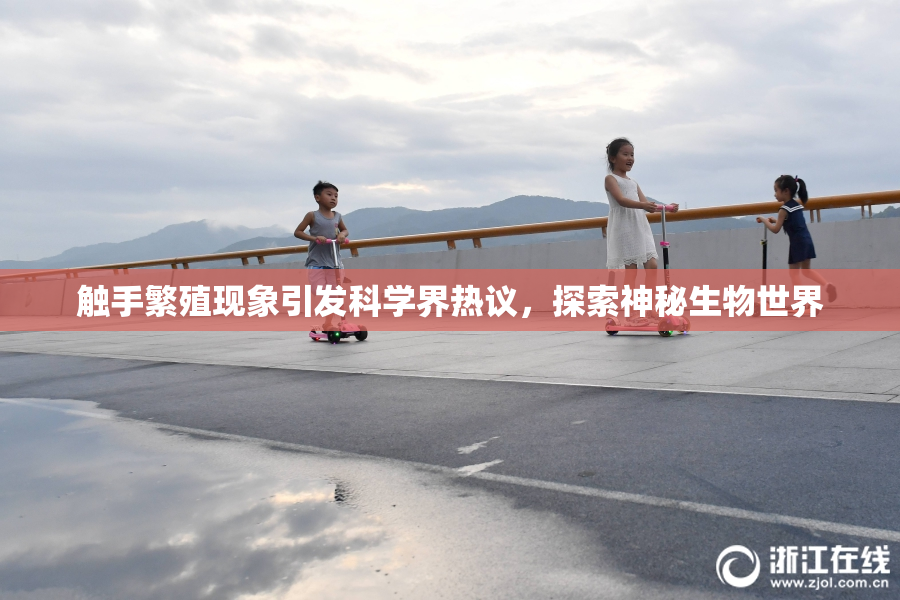 触手繁殖现象引发科学界热议，探索神秘生物世界