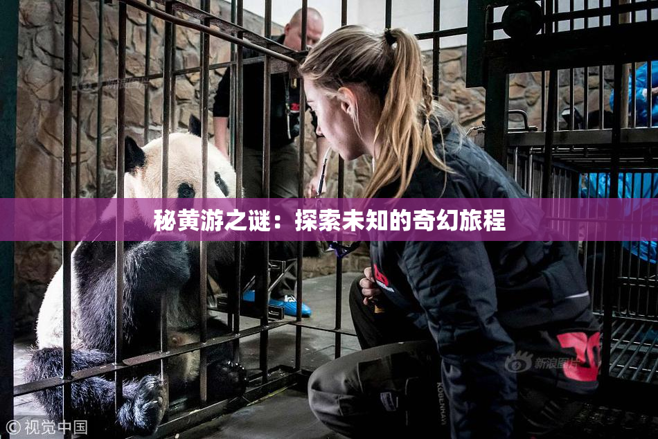 秘黄游之谜：探索未知的奇幻旅程