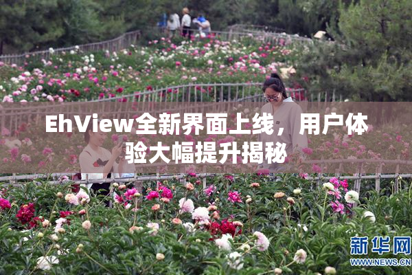 EhView全新界面上线，用户体验大幅提升揭秘