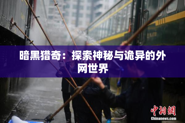 暗黑猎奇：探索神秘与诡异的外网世界