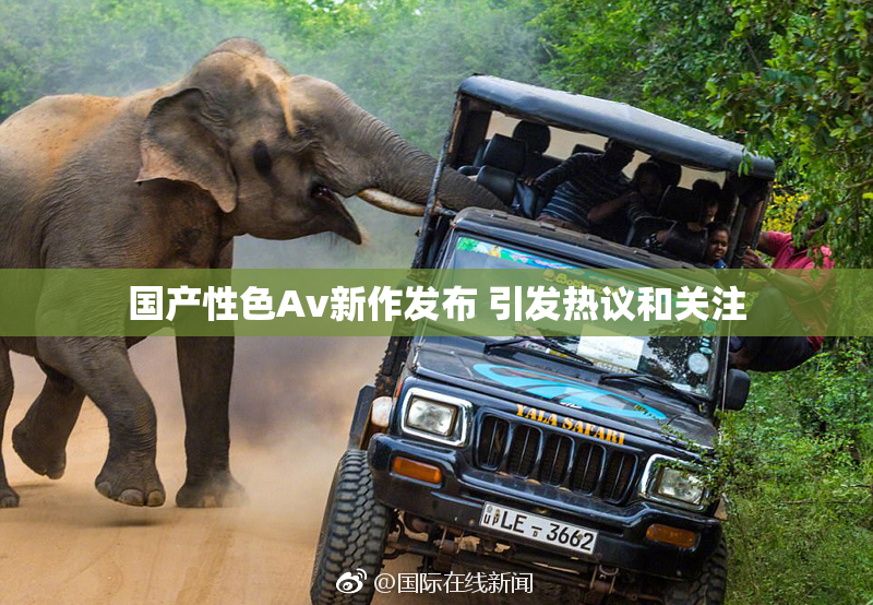 国产性色Av新作发布 引发热议和关注