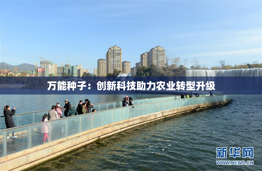 万能种子：创新科技助力农业转型升级