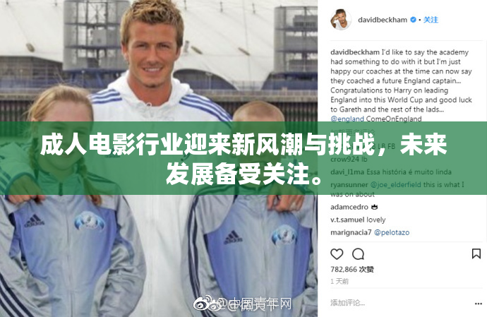 成人电影行业迎来新风潮与挑战，未来发展备受关注。