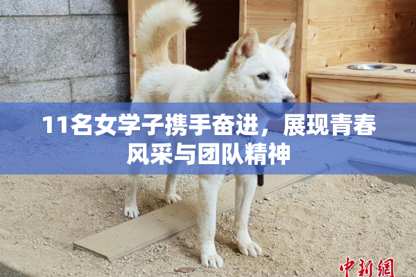 11名女学子携手奋进，展现青春风采与团队精神