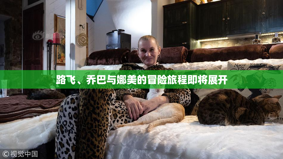 路飞、乔巴与娜美的冒险旅程即将展开