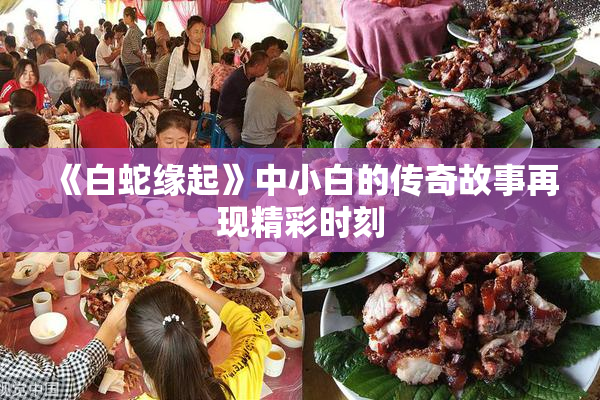 《白蛇缘起》中小白的传奇故事再现精彩时刻