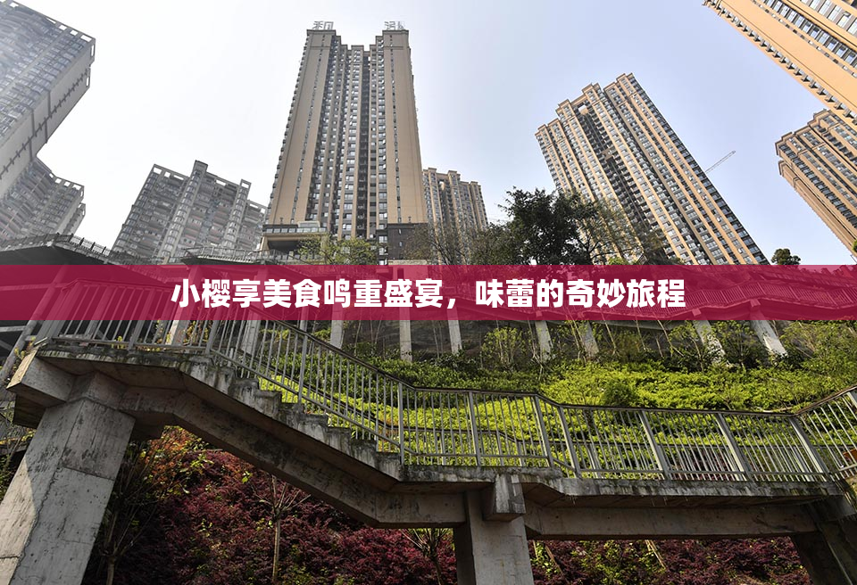 小樱享美食鸣重盛宴，味蕾的奇妙旅程
